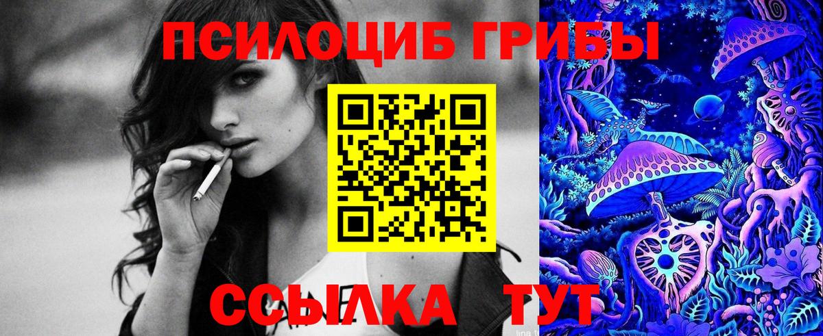 Псилоцибиновые грибы Psilocybe Соль-Илецк