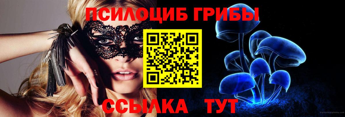 Галлюциногенные грибы мухоморы  Галлюциногенные грибы ЛСД  Соль-Илецк  Вход с VPN 